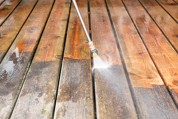 Animal Enclosure Cleaning in Anderson, CA